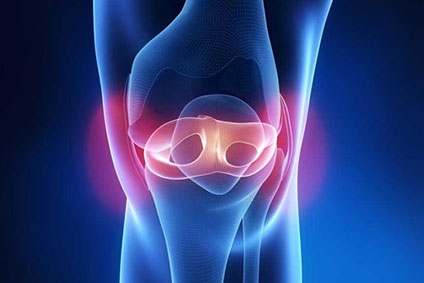 Stitch or Bone? Comparing Fixation Methods in Meniscus Transplants